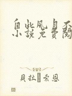 自此风月不相逢小说免费阅读