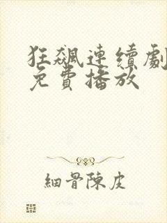 狂飙连续剧全集免费播放封面