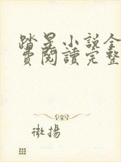 踏星小说全文免费阅读完整版无弹窗