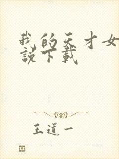 我的天才女友小说下载