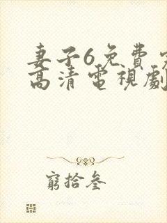 妻子6免费完整高清电视剧在线观看封面