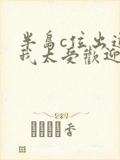 半岛c位出道的我太受欢迎笔趣阁