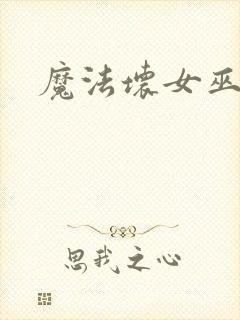 魔法坏女巫国语封面