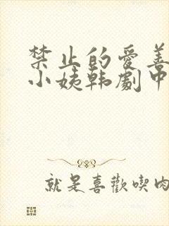 禁止的爱善良的小姨韩剧中文字幕