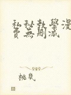 私秘教学漫画免费无删减封面