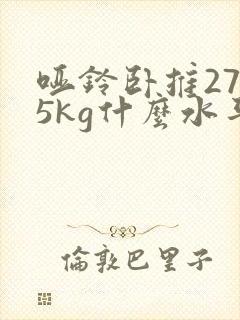 哑铃卧推27.5kg什么水平封面
