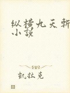 纵横九天斩神诀小说