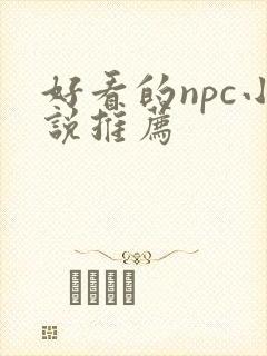 好看的npc小说推荐封面