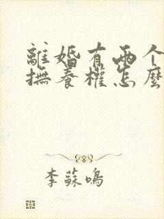 离婚有两个小孩抚养权怎么判定