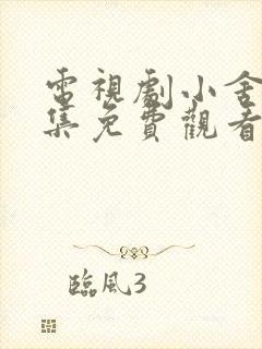 电视剧小舍得全集免费观看第一港剧封面