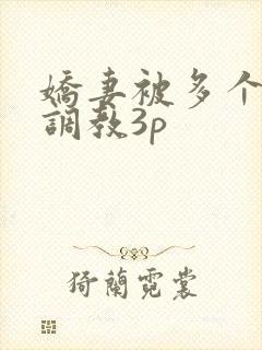 娇妻被多个男人调教3p封面