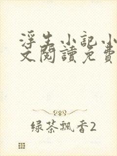 浮生小记小说全文阅读免费