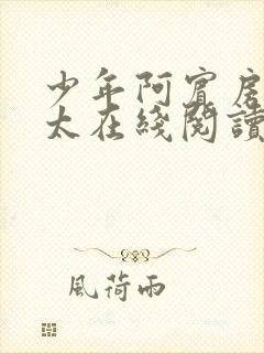 少年阿宾房东太太在线阅读封面