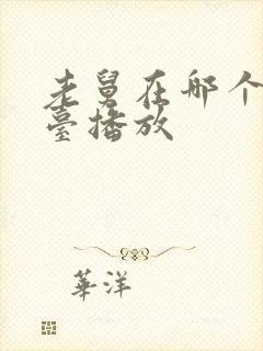 老舅在哪个电视台播放