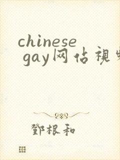 chinese gay网站视频体育生封面