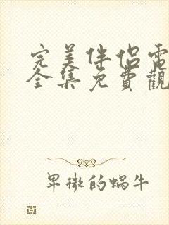 完美伴侣电视剧全集免费观看高清