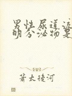 男性尿道流出透明分泌物是什么