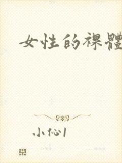 女性的裸体照