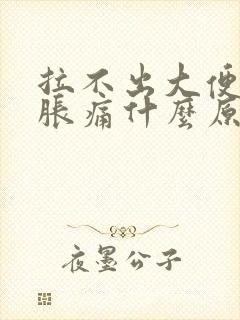 拉不出大便肚子胀痛什么原因封面