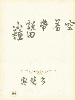 小说带着空间去种田