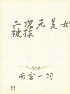 二次元美女的胸被揉封面