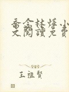 乔念林烨小说全文阅读免费下载封面