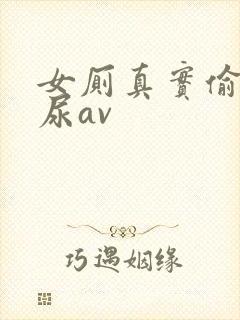 女厕真实偷拍撒尿av