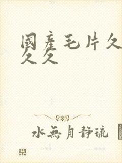 国产毛片久久久久久