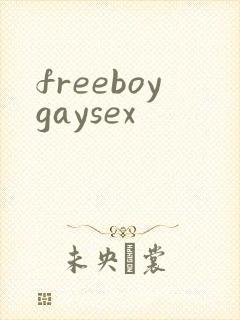 freeboygaysex封面