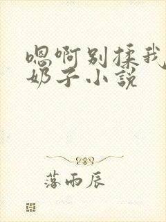 嗯啊别揉我的大奶子小说