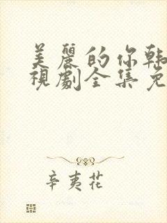 美丽的你韩剧电视剧全集免费观看