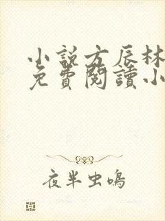 小说方辰林雪妍免费阅读小说