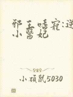 邪王嗜宠:逆天小医妃