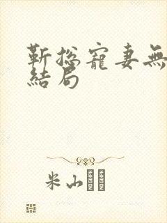 靳总宠妻无度大结局