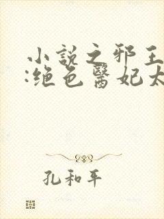 小说之邪王独宠:绝色医妃太逆天封面