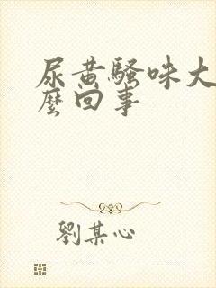 尿黄骚味大是怎么回事