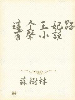 这个王妃路子野有声小说封面