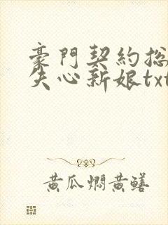 豪门契约总裁的失心新娘txt