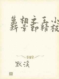 万相之王小说最新章节精校版