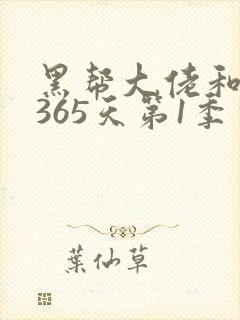 黑帮大佬和我的365天第1季完整版免费观看封面