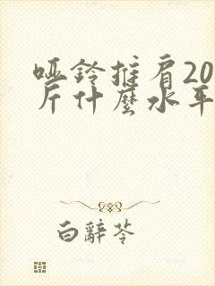 哑铃推肩20公斤什么水平
