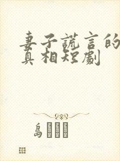 妻子谎言的背后真相短剧封面