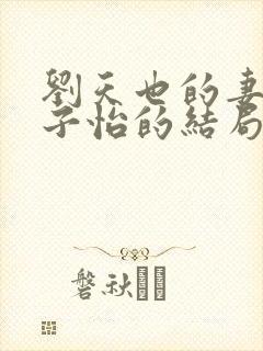 刘天也的妻子赵子怡的结局