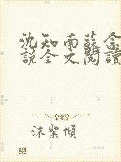 沈知南苏念意小说全文阅读