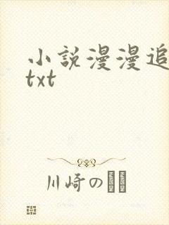 小说漫漫追妻路txt