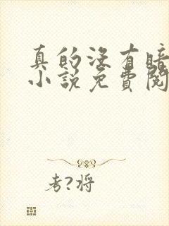 真的没有暗恋你小说免费阅读