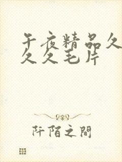 午夜精品久久久久久毛片