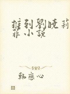 推到刘晓莉刘亦菲小说