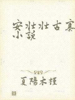 安壮壮古寨情缘小说封面