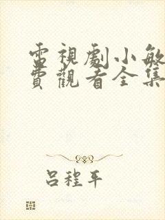 电视剧小敏家免费观看全集40集